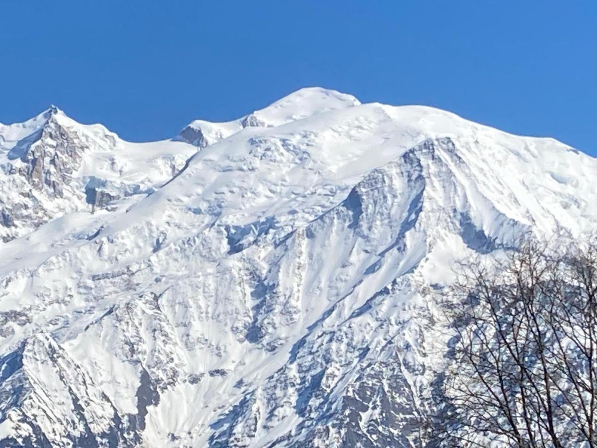 Les Edelweiss Mont-Blanc - Gite Classe 3 Etoiles Паси Екстериор снимка