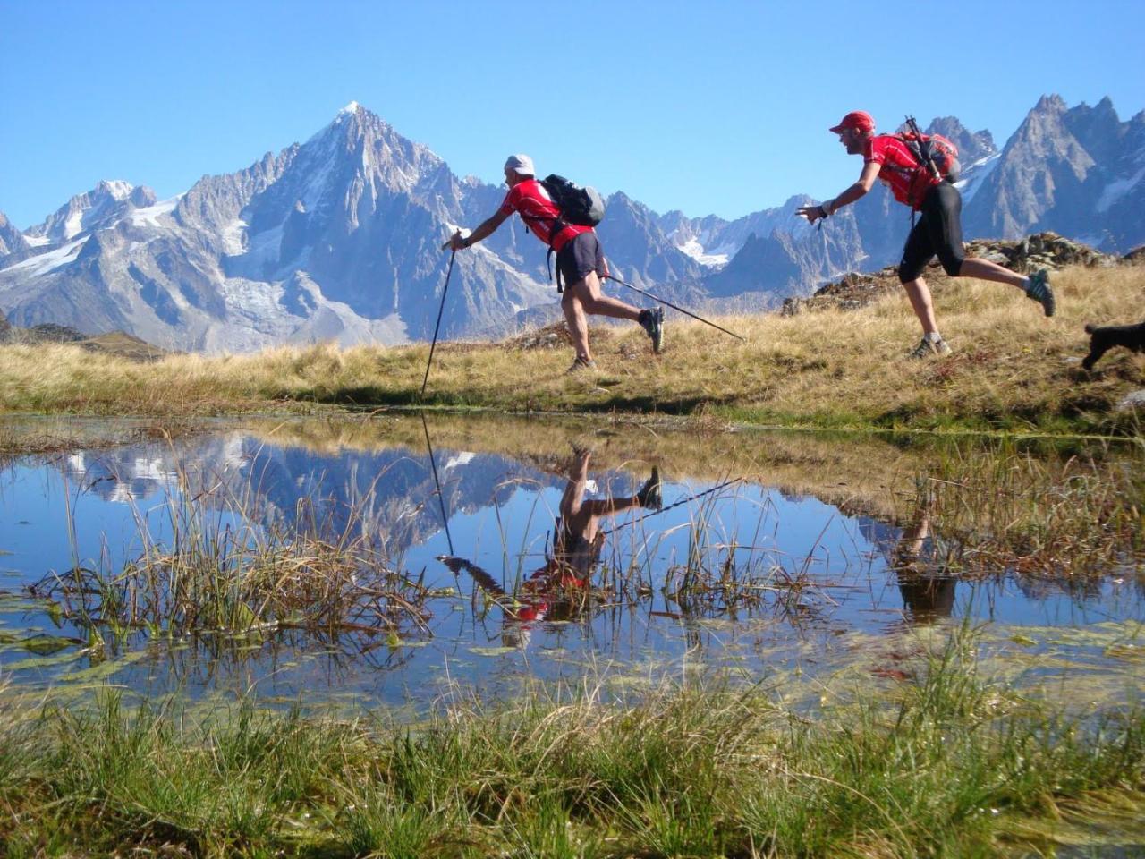 Les Edelweiss Mont-Blanc - Gite Classe 3 Etoiles Паси Екстериор снимка