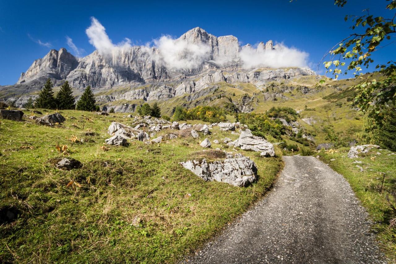 Les Edelweiss Mont-Blanc - Gite Classe 3 Etoiles Паси Екстериор снимка